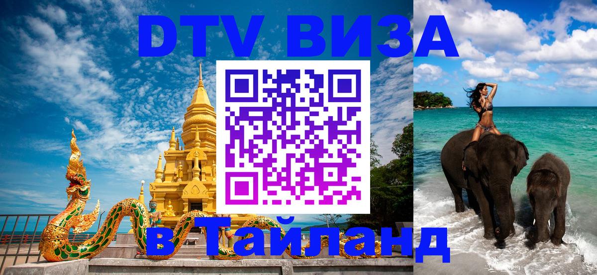 Оформление DTV визы под ключ: стоимость и тарифы, только загранпаспорт - Новосибирск 